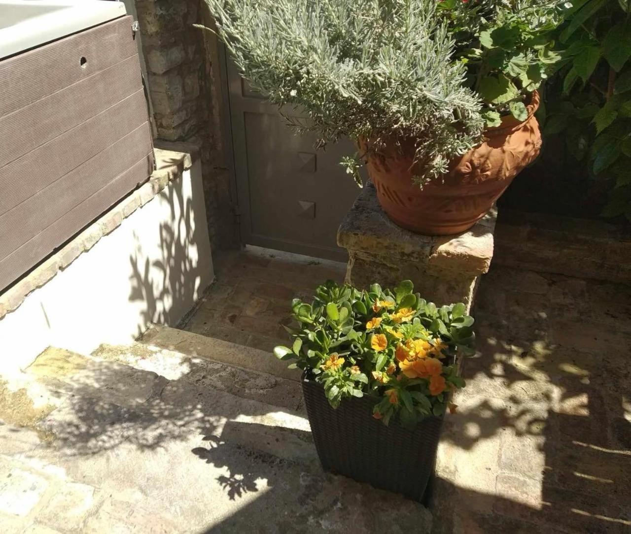 Anemomilos Jacuzzi Suite Corfu  Exterior foto