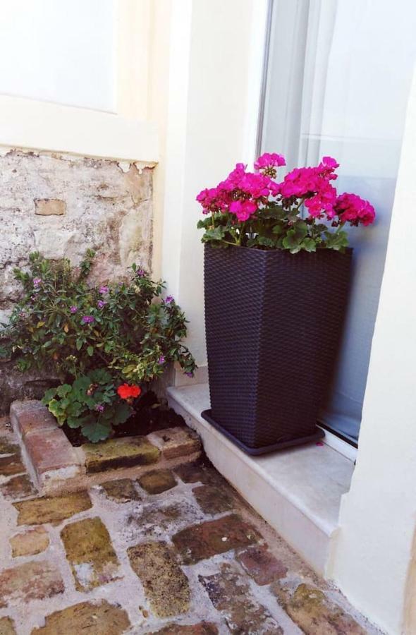 Anemomilos Jacuzzi Suite Corfu  Exterior foto